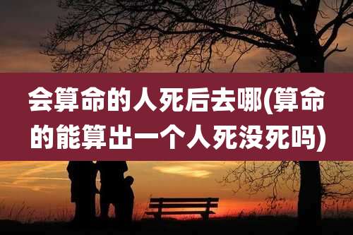 会算命的人死后去哪(算命的能算出一个人死没死吗)
