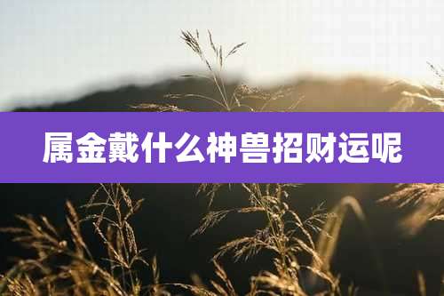 属金戴什么神兽招财运呢