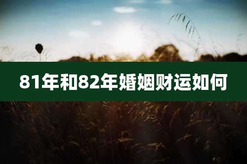 81年和82年婚姻财运如何