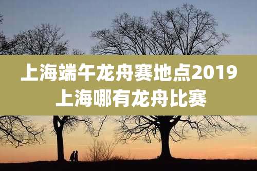 上海端午龙舟赛地点2019 上海哪有龙舟比赛