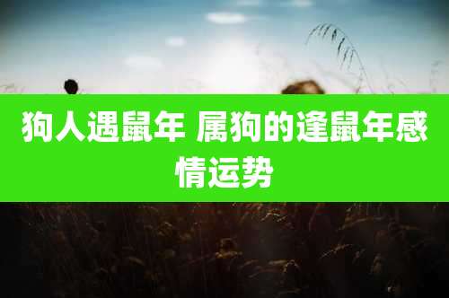 狗人遇鼠年 属狗的逢鼠年感情运势