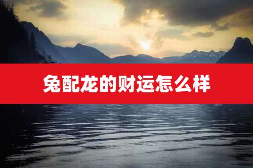 兔配龙的财运怎么样