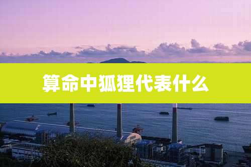 算命中狐狸代表什么