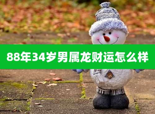 88年34岁男属龙财运怎么样