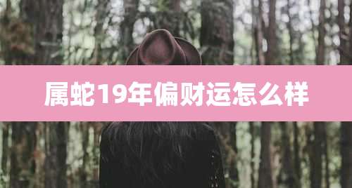 属蛇19年偏财运怎么样