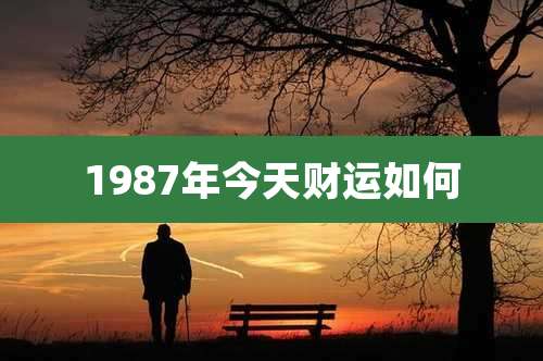 1987年今天财运如何