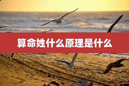 算命姓什么原理是什么