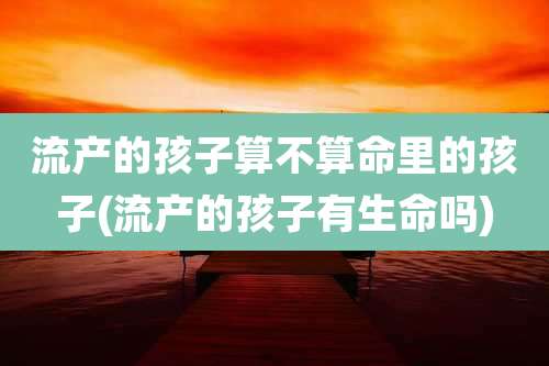 流产的孩子算不算命里的孩子(流产的孩子有生命吗)