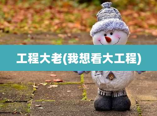 工程大老(我想看大工程)
