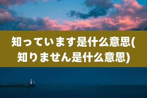 知っています是什么意思(知りません是什么意思)