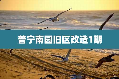 普宁南园旧区改造1期