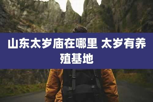山东太岁庙在哪里 太岁有养殖基地