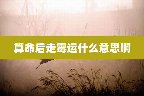 算命后走霉运什么意思啊