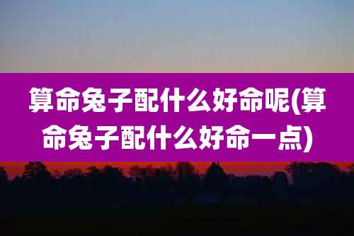 算命兔子配什么好命呢(算命兔子配什么好命一点)