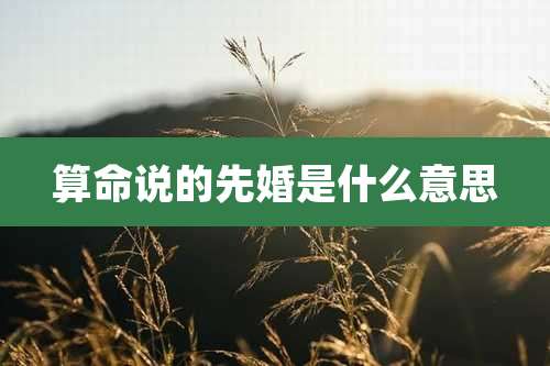 算命说的先婚是什么意思