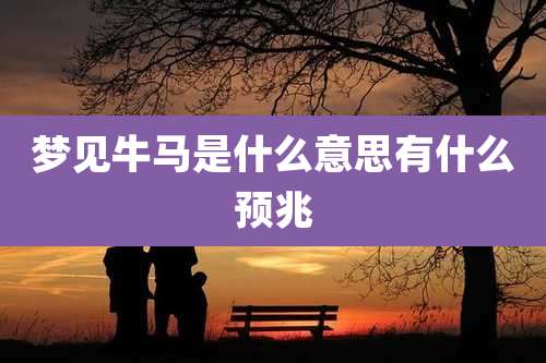 梦见牛马是什么意思有什么预兆
