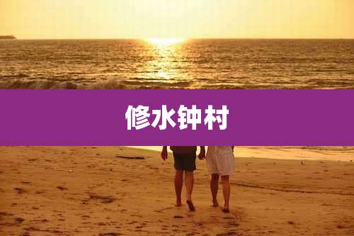 修水钟村