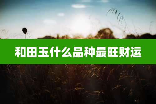 和田玉什么品种最旺财运