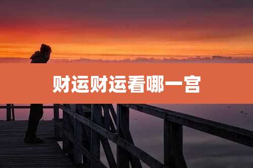财运财运看哪一宫