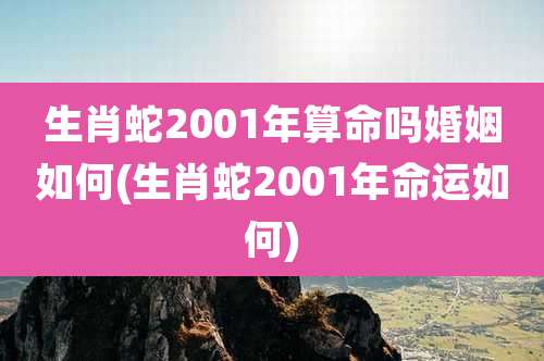 生肖蛇2001年算命吗婚姻如何(生肖蛇2001年命运如何)
