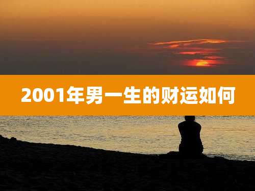 2001年男一生的财运如何