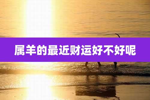 属羊的最近财运好不好呢