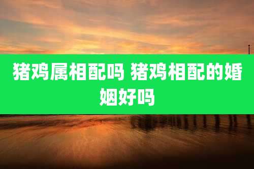 猪鸡属相配吗 猪鸡相配的婚姻好吗