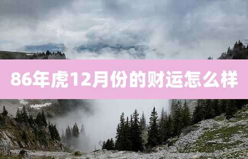 86年虎12月份的财运怎么样