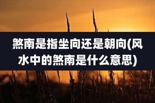 煞南是指坐向还是朝向(风水中的煞南是什么意思)