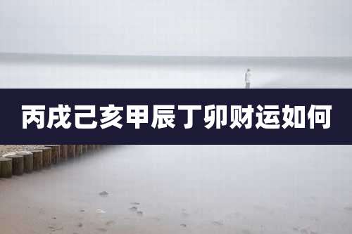 丙戌己亥甲辰丁卯财运如何