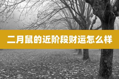 二月鼠的近阶段财运怎么样