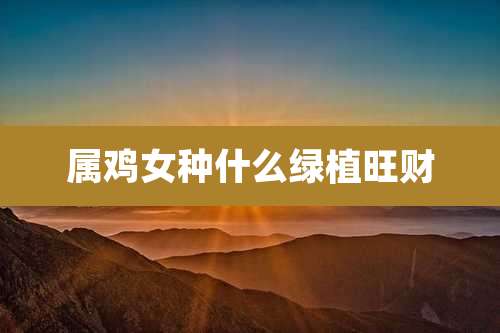 属鸡女种什么绿植旺财