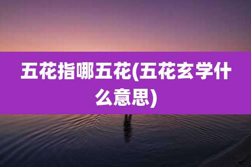 五花指哪五花(五花玄学什么意思)