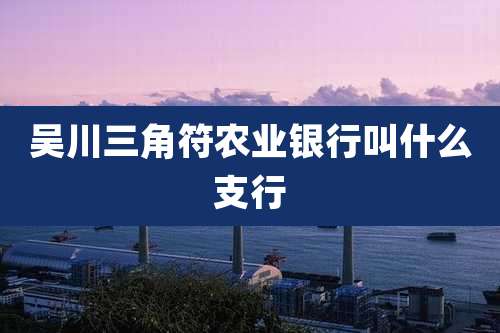 吴川三角符农业银行叫什么支行