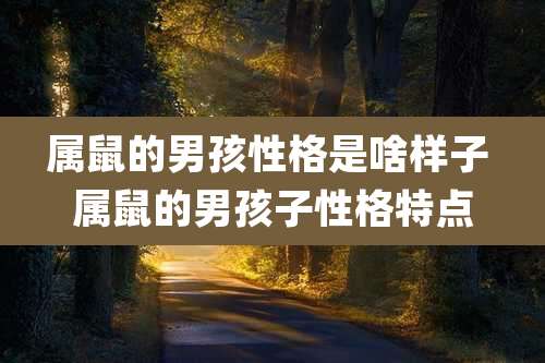 属鼠的男孩性格是啥样子 属鼠的男孩子性格特点