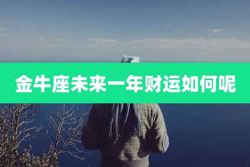 金牛座未来一年财运如何呢