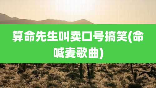 算命先生叫卖口号搞笑(命喊麦歌曲)