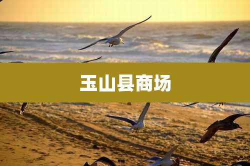 玉山县商场