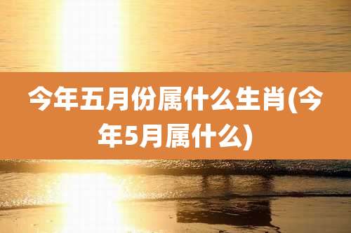 今年五月份属什么生肖(今年5月属什么)