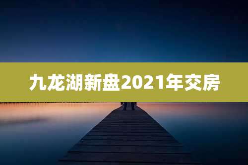 九龙湖新盘2021年交房