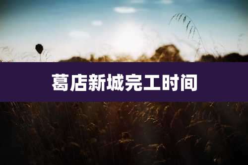 葛店新城完工时间