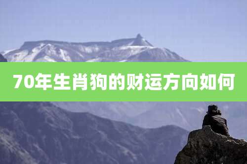 70年生肖狗的财运方向如何