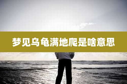 梦见乌龟满地爬是啥意思