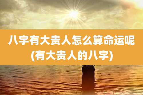 八字有大贵人怎么算命运呢(有大贵人的八字)