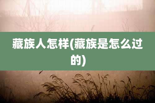 藏族人怎样(藏族是怎么过的)