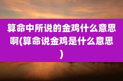 算命中所说的金鸡什么意思啊(算命说金鸡是什么意思)