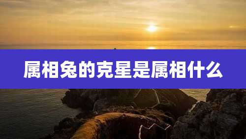 属相兔的克星是属相什么