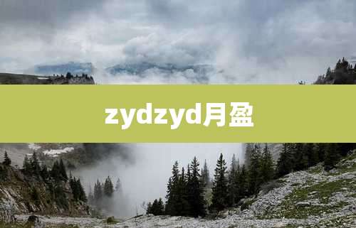 zydzyd月盈
