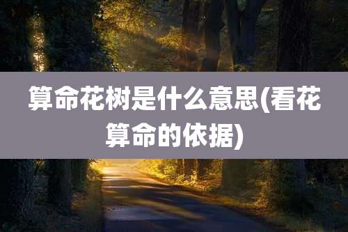 算命花树是什么意思(看花算命的依据)
