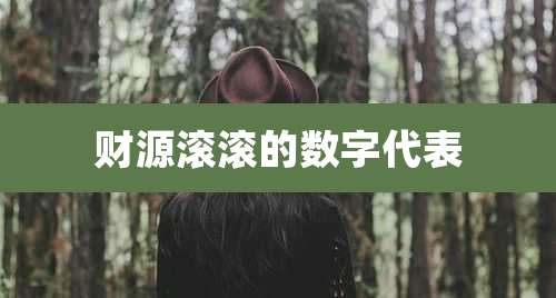 财源滚滚的数字代表
